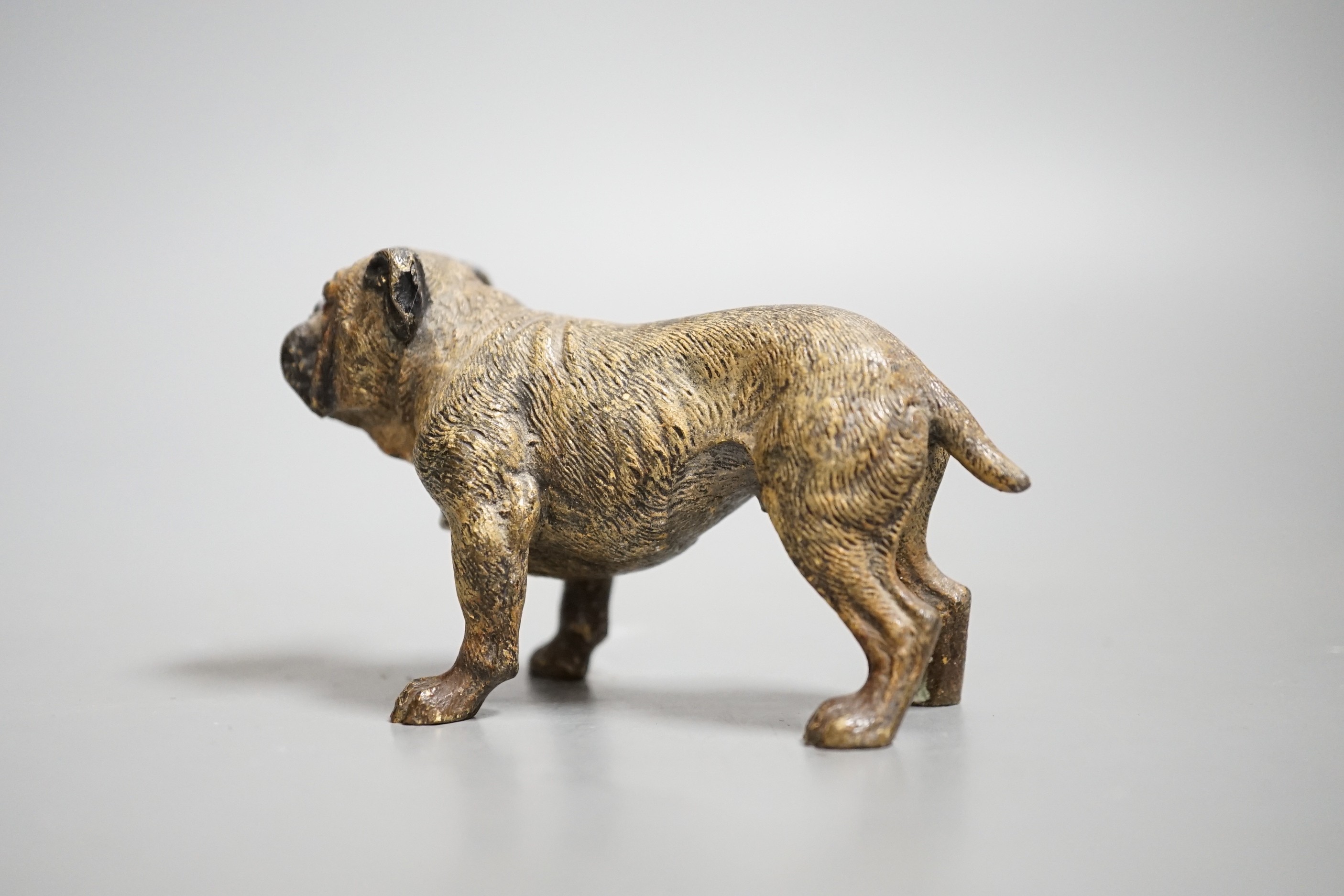 Two Austrian cold painted models of bulldogs, stamped Geschutzt. 10cm long